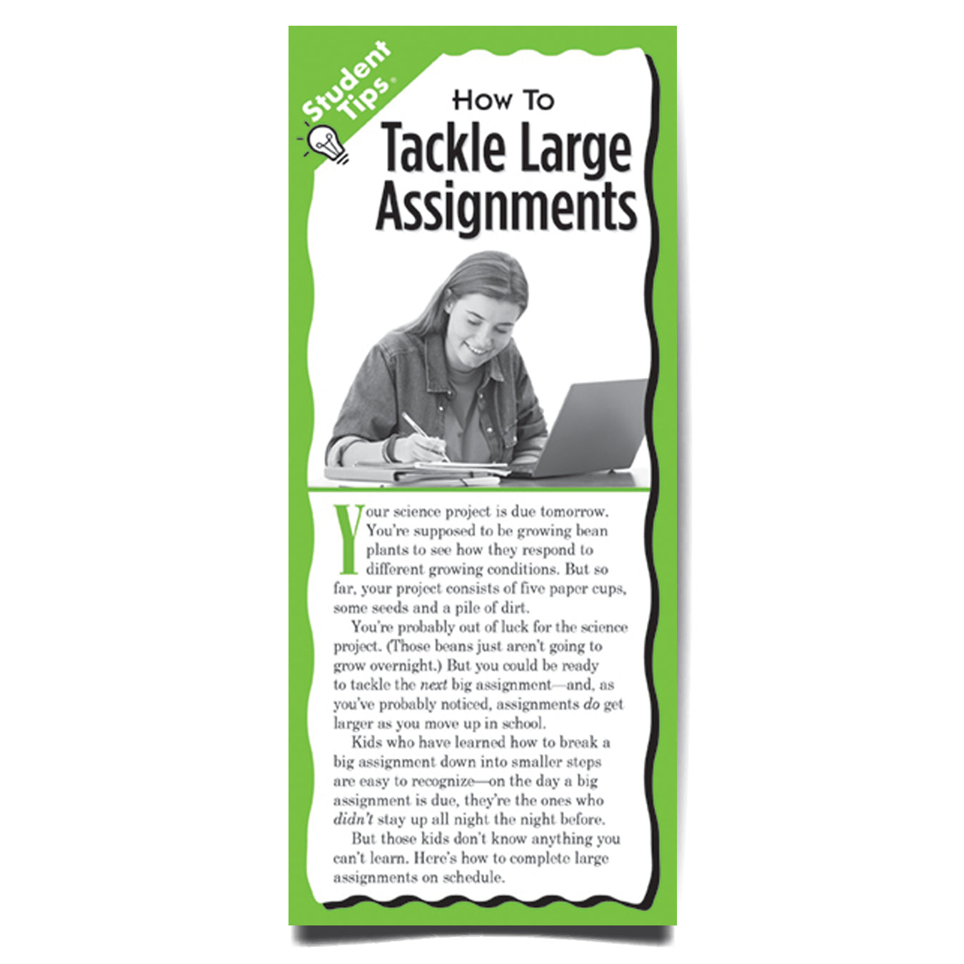 How to Tackle Large Assignments Student Tips Brochure